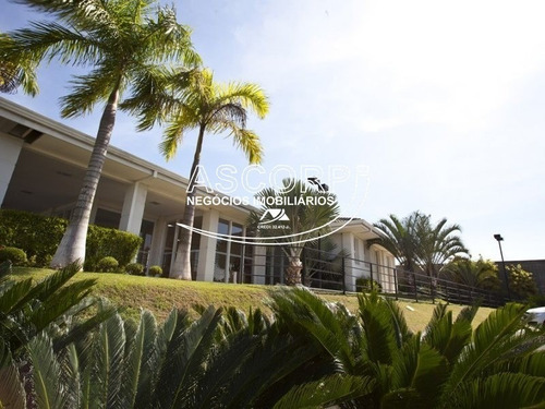 Imagem 15 de 16 de Excelente Terreno Plano No Terra De Ártemis.(código Te00449) - Te00449 - 71102727