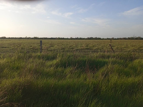 Imagen 2 de 11 de Venta De Espectacular Hato En Calabozo Estado Guárico