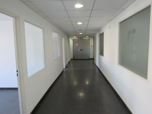 Imagen 12 de 18 de Alquiler Oficina 232 M2