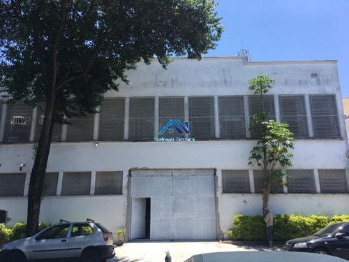 Imagem 7 de 7 de Galpão - Gl00045 - 69409861
