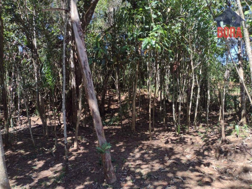 Chácara Com 2 Dormitórios À Venda, 48 M² Por R$ 270.000,00 - Vila São José - Mairiporã/sp - Ch0375