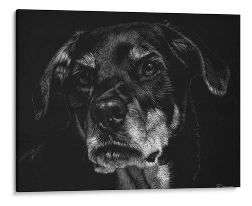 Canvas Lab Cuadro Scratchboard Canino Xxii 40x30