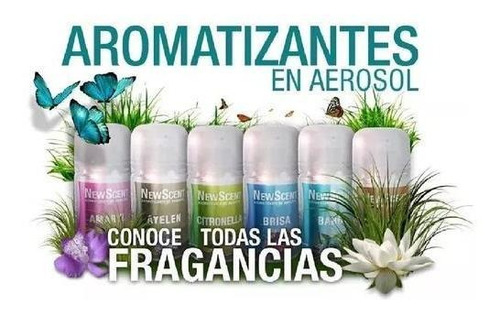 Imagen 3 de 6 de Combo Aromatizador Digital 01 Newscent + 2 Fragancias + Pilas