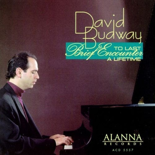 David Budway Brief Encounter Piano Jazz Cd Pvl 