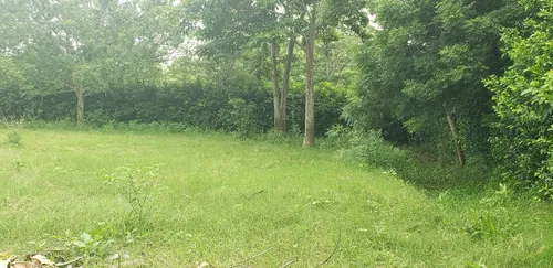 Finca En Venta A 15 Minutos Del Centro De Cerete