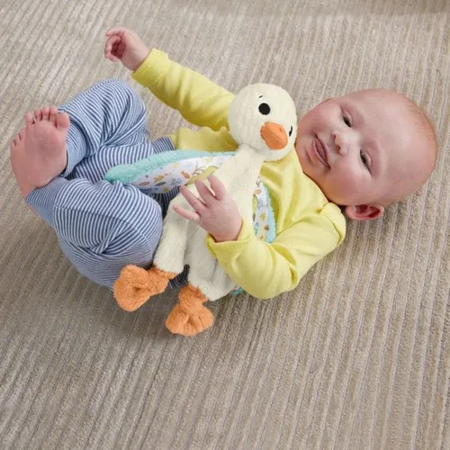 Ganso Bebe Fisher Price Amoroso Hyd10 Mattel