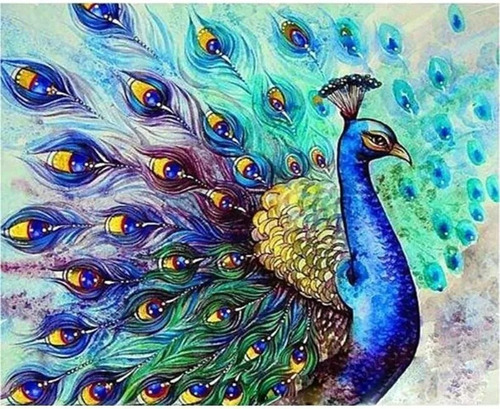 Bordado Pintura Diamante - Pavo Real 30x40