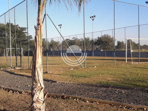 Imagem 4 de 16 de Terreno À Venda Em Cascata - Te006805