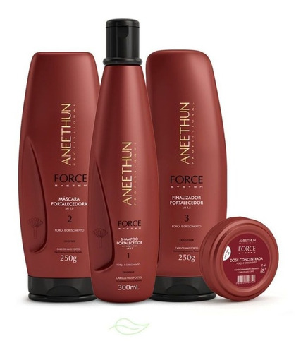 Kit Fortalece Cabelo Force System Aneethun  4 Produtos