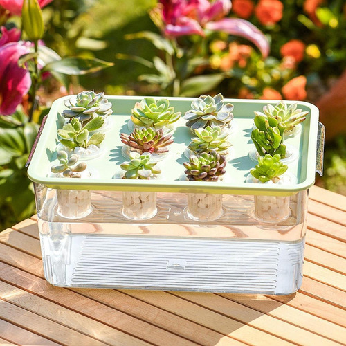 Caja De Hidropónico, Herramienta Hidropónica, 12 Verde