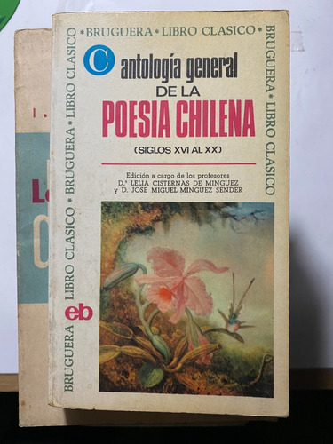 Antología General Poesía Chilena S Xvi A Xx    B4