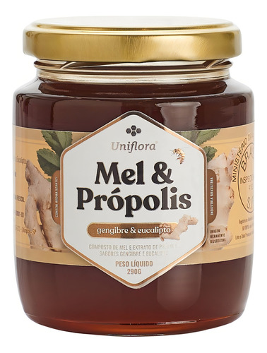 Composto De Mel Com Própolis, Gengibre & Eucalipto 290g Puro