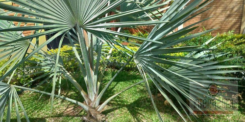 Imagem 17 de 30 de Chácara Com 4 Dormitórios À Venda, 3000 M² Por R$ 1.500.000,00 - Jardim Flamboyant Ii - Boituva/sp - Ch0642