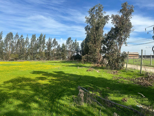Terrenos 5.000mts2 Rol Propio Limache Sector Los Laureles