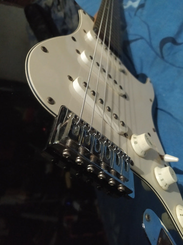 Guitarra Electrica Stratocaster Palmer Deluxe, Forro, Cable