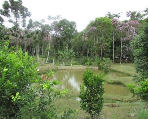 Chacara - 04536 - 33229180