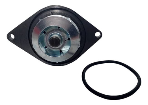 Bomba De Agua Ford Cargo 815