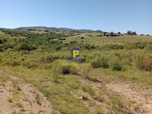 Imagen 5 de 12 de 10 Hectáreas En Las Cañas