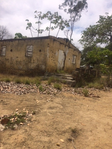 Imagem 2 de 18 de Ótimo Sítio 14 Hec, Não Tem Benfeitoria, Estrada De Aldeia Km 33 Em Paudalho Aceito Carro - St00007