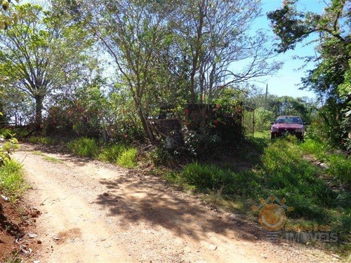 Imagem 1 de 16 de Venda - Sítio Da Ilha / Pilar Do Sul/sp - 4360