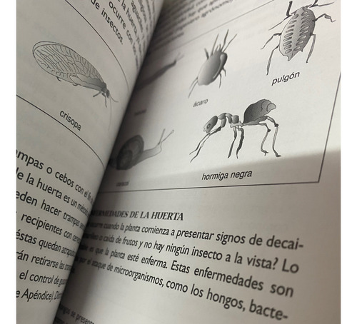 La Huerta En Casa - Marisa Della Vedova - Atlántida (Usado)