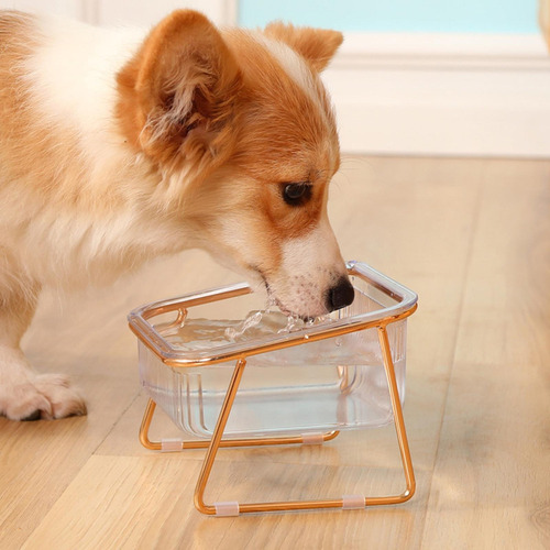 Cuencos Elevados Para Gatos Con Soporte De Hierro Platos Par
