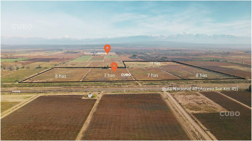 47 Hectareas De Campo Con Gran Frente En Ruta Nacional 40 (acceso Sur) Ugarteche Lujan De Cuyo