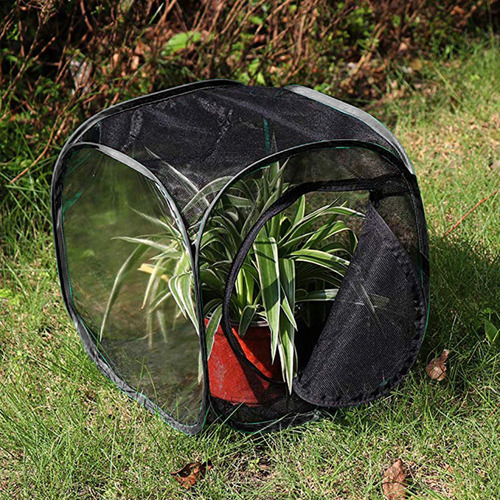 # Foldable Portable Insect And Habitat Enclosure In V Enc