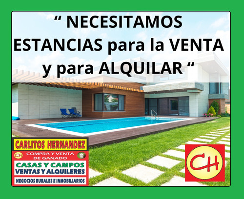 Necesitamos Ganado Para Venta
