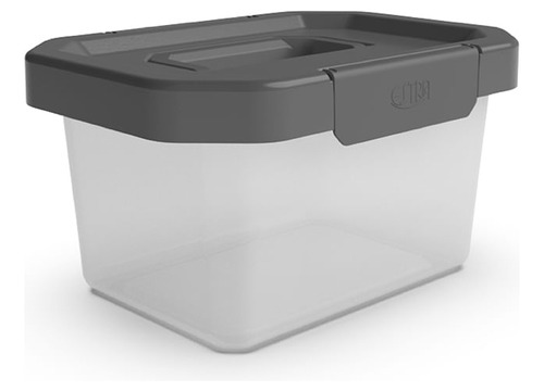 Caja Organizadora Estrabox Con Manija 4l Natural-gris