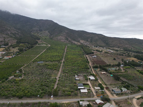 Parcela Agrícola Con Producción En Los Maquis