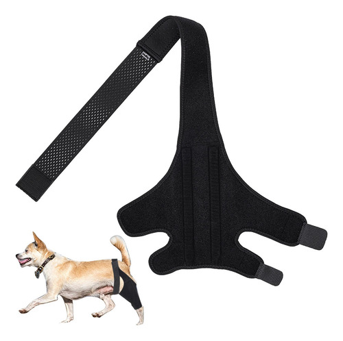 Dog Knee Immobilizer Dog Elbow Brace Knee Immobilizer Leg Br