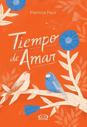 Tiempo De Amar - Patricia Faur - Libro V&r