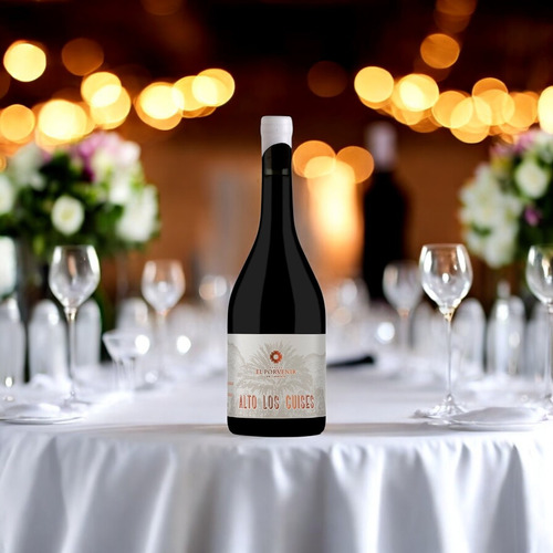 Vino Tinto El Porvenir Alto Los Cuises Malbec Botella 750cc