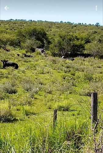 Imagen 14 de 15 de Campo Calmayo