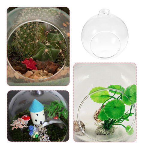 Maceta Colgante De Cristal Transparente Para Terrario, 12 Un