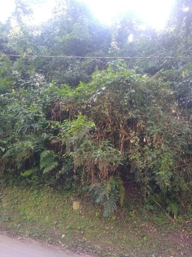Imagem 3 de 3 de Terreno À Venda, 2.301 M² Por R$ 180.000 - Jardim Santa Paula - Cotia/sp - Te0529