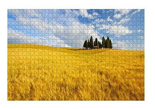 Rompecabeza Tipico - Typical Landscape In Tuscany 1000 Piece