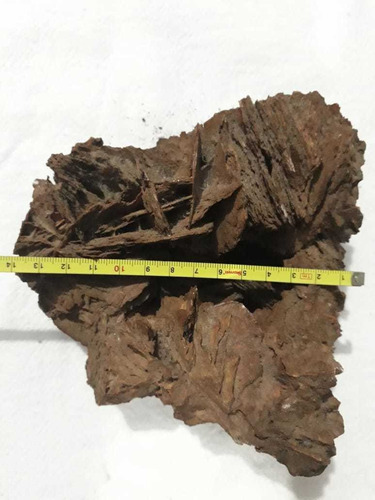 Pedra Roxa Para Decoração Aquário Raridade Tipo Favo Marrom