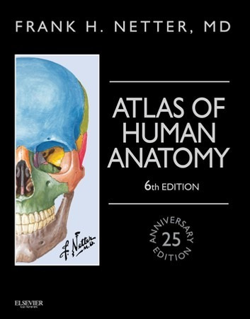 Netter 6ta Y 7a. Edicion  Anatomia Nuevos Sellados Medicina