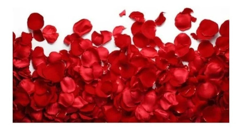 Imagem 1 de 6 de 1.000 Pétalas De Rosas Artificiais Vermelha Casamento Noivas