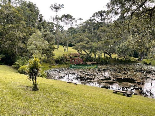 Imagem 6 de 20 de Casa Com 5 Dormitórios À Venda Por R$ 9.720.000,00 - Vila Capivari - Campos Do Jordão/sp - Ca6175
