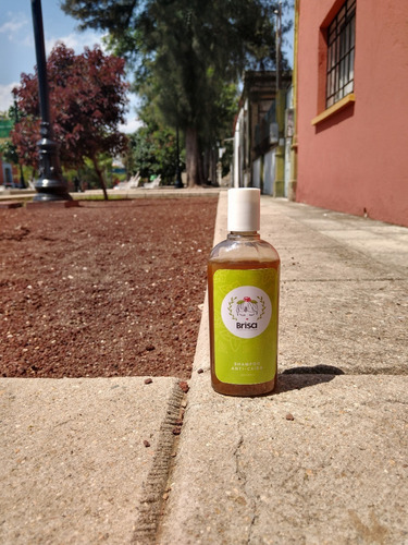 Imagen 2 de 9 de Shampoo Anticaida 250 Ml Shampoo Cola De Caballo
