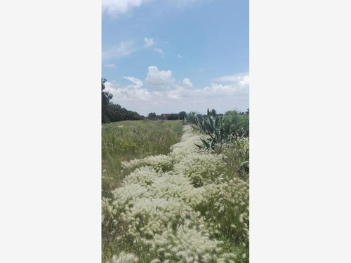 Terreno En Venta Ampliación El Carmen