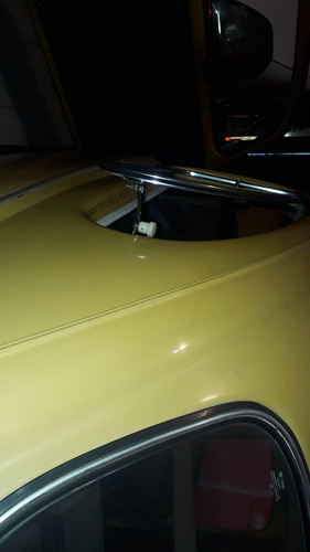 Fusca Fuscao