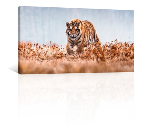 Cuadro Decorativo Canvas Animales Tigre En El Patizal