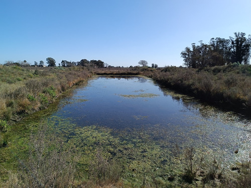 Vendo Muy Lindo Campo Con 2 Tajamares Para Riego, Alambrado, Pozos, Cañada, Monte, Financio Consulte