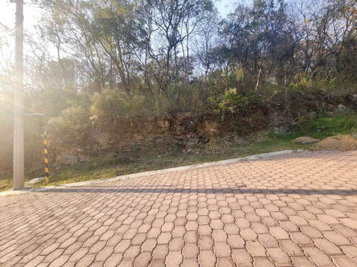 Venta Lote Gladiola 38 De Vistas Panorámicas Con Todos Los Servicios Y Proyecto Incluído En Fracc Rancho San Diego Ixtapan De La Sal Edomex