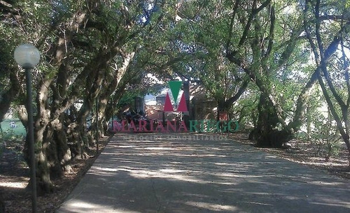Imagen 16 de 30 de Importante Casa Quinta