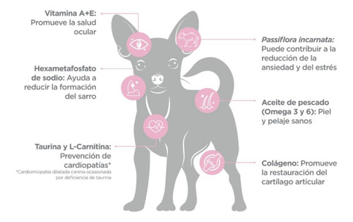 Paquete Nupec Cachorro Raza Mini 3kg + Toallitas Húmedas